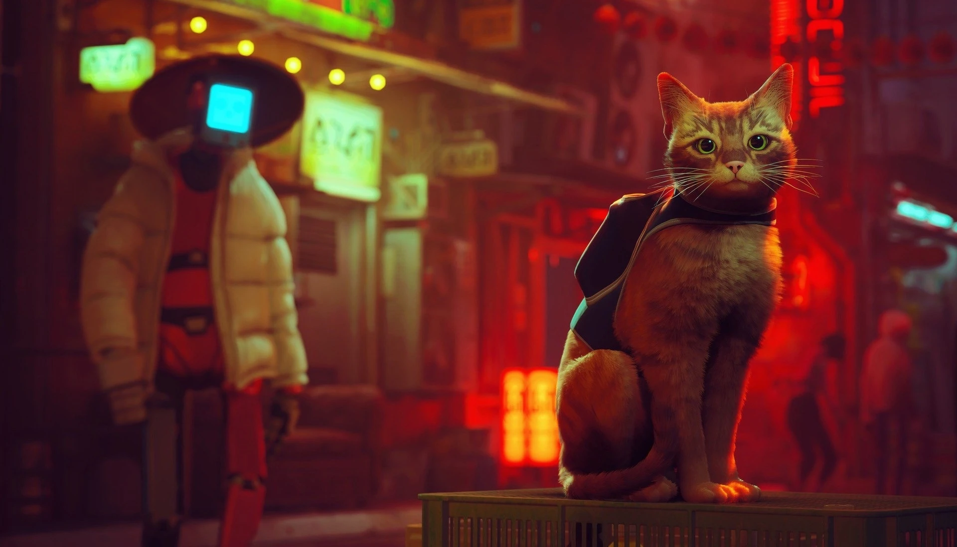 Экранизация Stray